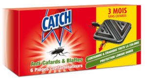 insecticide cafard